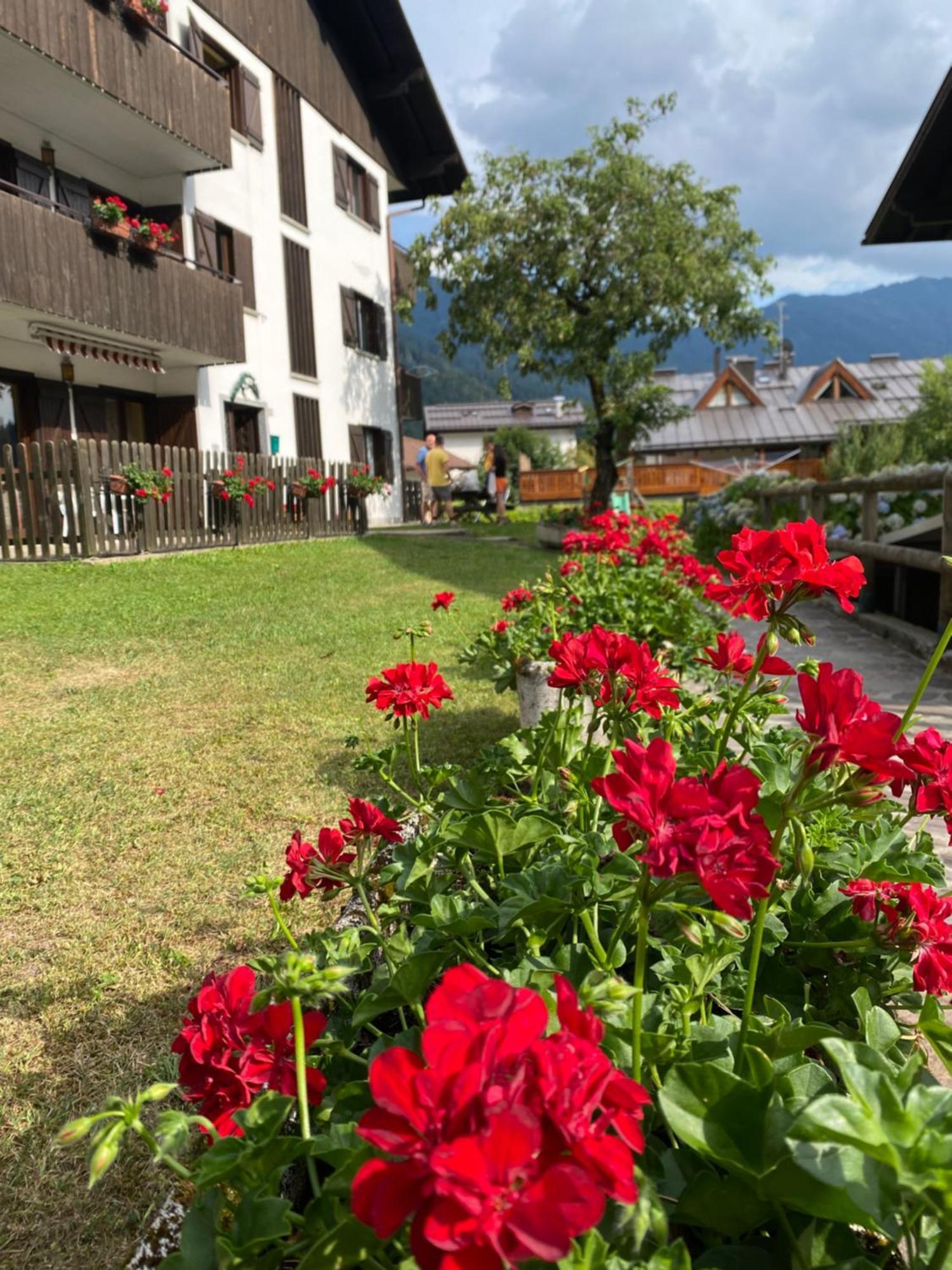 Care Alto Apartment คาริโซโล ภายนอก รูปภาพ